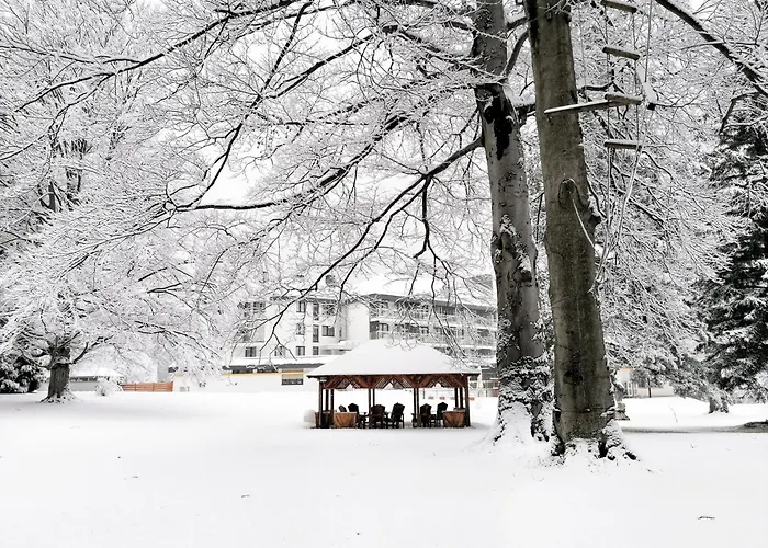 Parkhotel Hirschwang