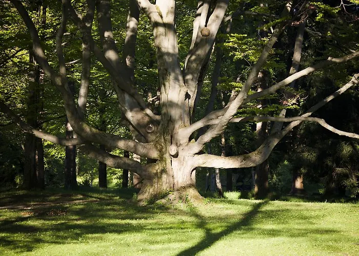 Parkhotel Hirschwang